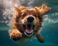 Camera shoot of an active, caricature style art