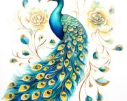 Watercolor peacock on white background, kangra painting styles