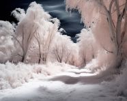 Stunning infrared forest view