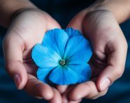 Close up of flower in hand