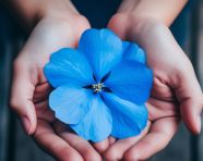 Persons hand holding a rose