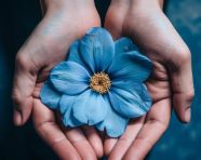 Mans hand holding a tulip