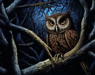 Scratchboard artist at work