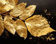 Gold leafing on metal