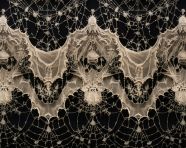 Vamberk lace pattern