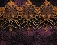 Vamberk lace close-up